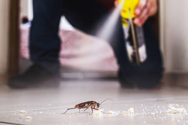 Best Best Pest Control Companies  in Bay Minette, AL